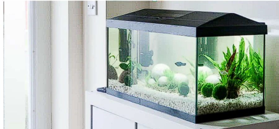 EzoAquarium за аквариуми