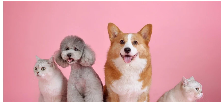 EzoAnimal за домашни миленици